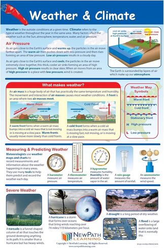 NewPath Learning Grade 4 Science Anchor Charts – Set of 10 (12x18") & 25-Page Resource Guide Covering Life, Earth & Physical Science for Classroom & Homeschool Use (94-9940) in Kuwait