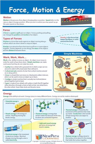 NewPath Learning Grade 4 Science Anchor Charts – Set of 10 (12x18") & 25-Page Resource Guide Covering Life, Earth & Physical Science for Classroom & Homeschool Use (94-9940) in Kuwait