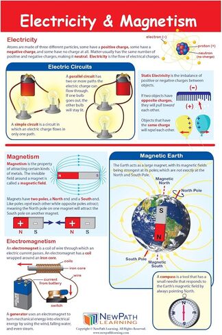 NewPath Learning Grade 4 Science Anchor Charts – Set of 10 (12x18") & 25-Page Resource Guide Covering Life, Earth & Physical Science for Classroom & Homeschool Use (94-9940) in Kuwait