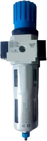 LFR-1/2-D-7-O-MAXI 192597 LFR-1/2-D-7-O-MAXI-A 192607 Filter Pressure reducing Valve(192607) in Kuwait