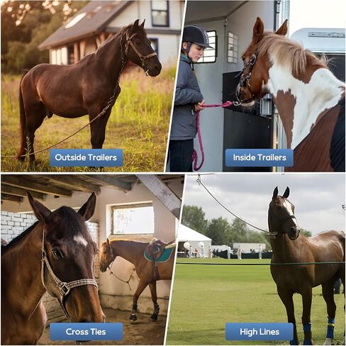 Horse Tie Ring, 4 PCS for Horses, Stainless Steel Horse Cross Ties with Magnetic Lock Quick Snap & Eye Bolt, Prevents Pull Back Tie Ring for Horses Indoor and Outdoor in Kuwait