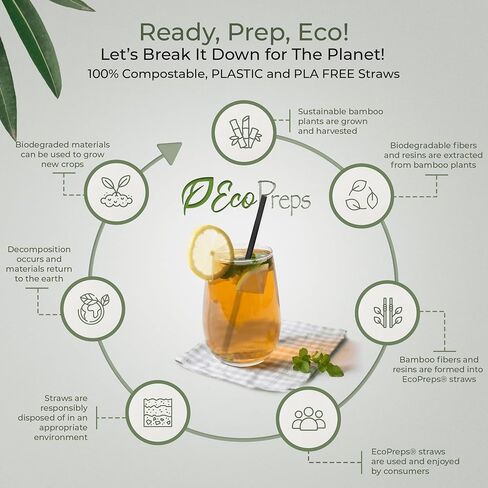 EcoPreps Black Biodegradable Bamboo Fiber Straws - 150 Count, 100% Compostable, Plastic-Free, Eco-Friendly Drinking Straw - 7.8'' Plant Fiber Disposable Straws, Compostable Black Straw For Cocktails in Kuwait