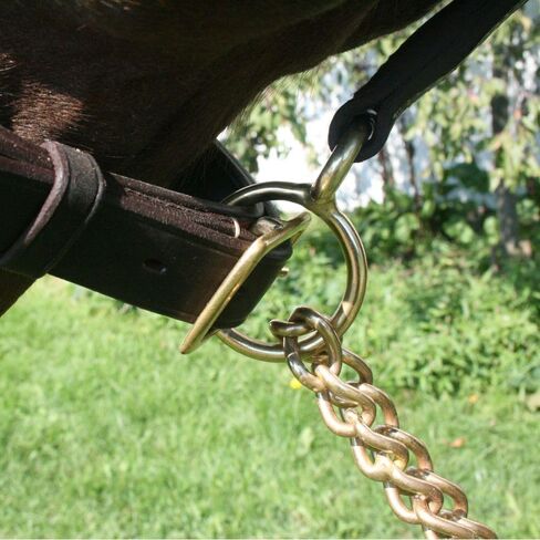 Schneiders Billy Royal 6' Havana Leather Horse Lead with 24" Brass Chain | 1" W x 6' L | Superior Horse Control | Matches Billy Royal Halters in Kuwait