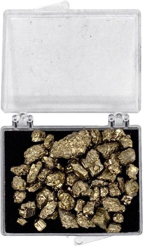 Pirate Gold - Fools Gold Treasure Box | Real Iron Pyrite Display Case | Mini Gold-Like Minerals for Pirate-Themed Treasure Hunting, Adventure Decor Collection in Kuwait