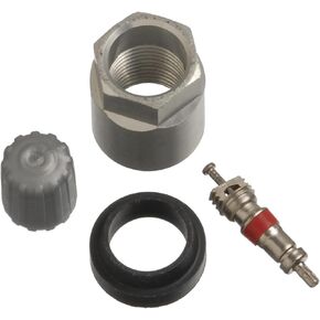 Schrader 20006 TPMS Service Pack fits Chevrolet GMC Hummer, single unit