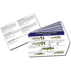 Ident-I-Cards Fish Set of 9 Freshwater Fish Identification Cards