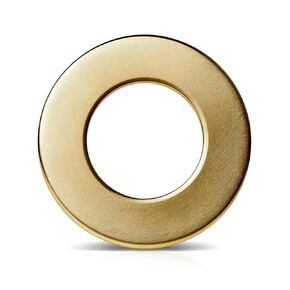 Brass Flat Washer, M2 Metric Bronze Washer for Screws Bolts, DIN 934, 2mm ID, 5mm OD, 0.5mm Thick (Pack of 300)
