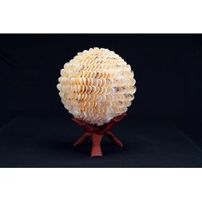 20 cm White Seashell Sphere, Sea Shell Balls, Decorative Shells Balls for Beach Wedding & Home Decor with Wooden Cobra Stand