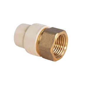 Everflow Supplies BRCPF100-NL 1" Adapter Fitting with a Brass Female and a CPVC Connect in Saudi Arabia