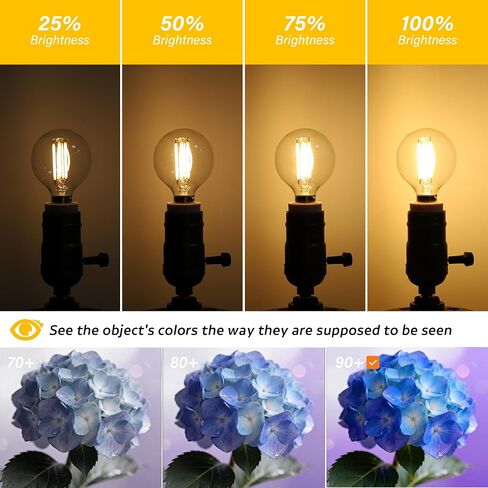 Dimmable Globe G16.5 E12 LED Bulb 40W(4W),Type G Bulb,Round Candelabra Light Bulbs for Ceiling Fan,Lamp,Chandelier,Sconce,Pendant,Warm White 2700K 400LM,Pack of 2 in Saudi Arabia