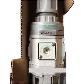 W3000-10-W-FYT Filter Pressure reducing Valve in Kuwait