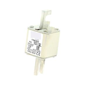 170M5612 170M5613 170M5614 الصمامات السريعة ذات الجهد المنخفض (170M5614) in Kuwait