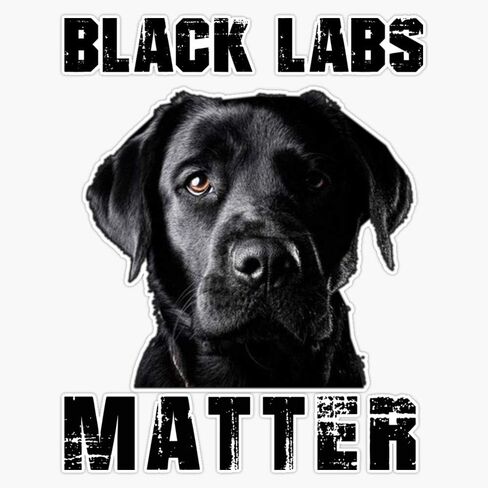Black Labs Matter Vinyl Waterproof Sticker Decal Car Laptop Wall Window Bumper Sticker 5" in Kuwait