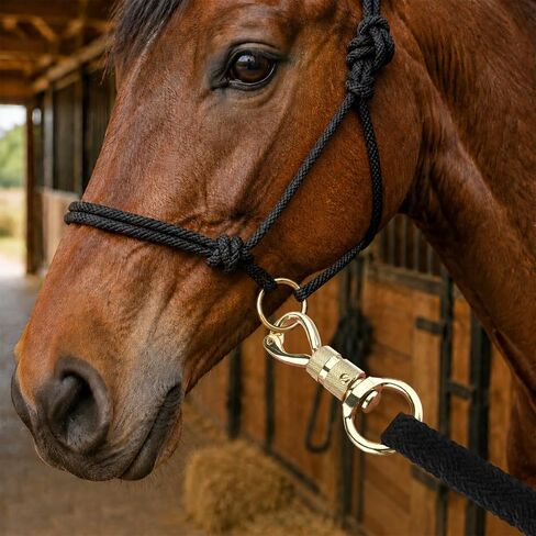 14 Feet Lead Ropes for Horses, Heavy Duty Horse Training Lead with Leather Popper End and Brass Swivel Snap, Soft Comfort Grip, Daily Horse Tack, 13/20" Diameter, Black in Kuwait