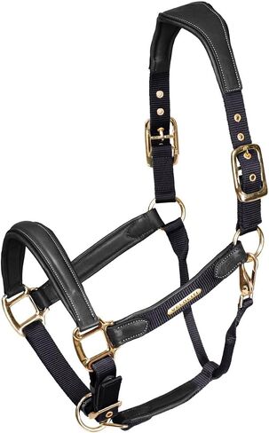 Shires Velociti Lusso Padded Leather Halter with Breakaway Black/Cob in Kuwait