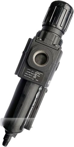 B73G-3BK-QD1-RMN Filter Pressure Regulating Valve in Kuwait