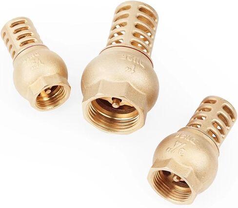 1-1/4 بوصة، 1-1/2 بوصة، 2 بوصة صمام سفلي لمرشح نحاسي أنثى DN32/DN40/N50 لمضخة سباكة المياه (2 بوصة) in Kuwait