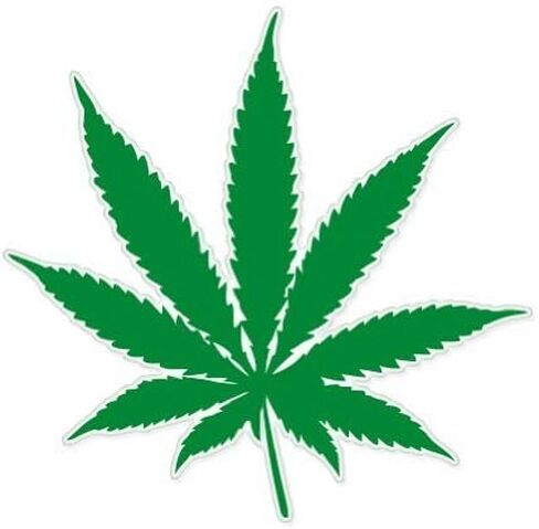 ملصق JOE Marijuana مقاس 2 بوصة من أوراق الأعشاب وعاء مدخن ملصق قانوني للهاتف صغير in Kuwait