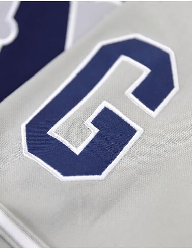 Big Boy Homestead Grays S5 Adult Baseball Jersey [Navy Blue] - ID#75092-115-207-0-0 in Kuwait