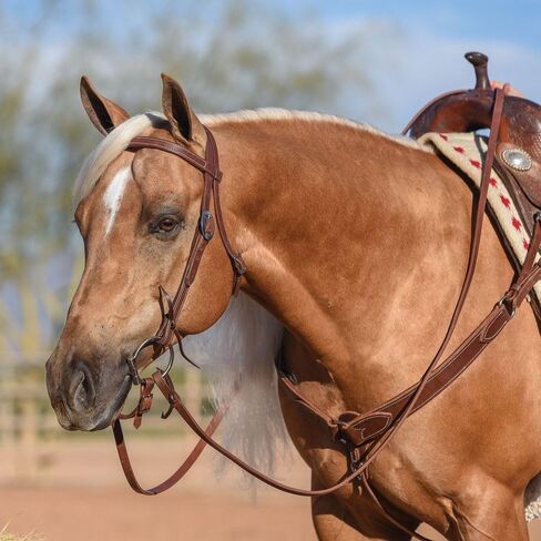 بيلي رويال مزيت هيرمان البلوط الجلود Browband Headstall | معدات الخيول العليا مصنوعة يدويًا | حجم الحصان الكبير in Kuwait