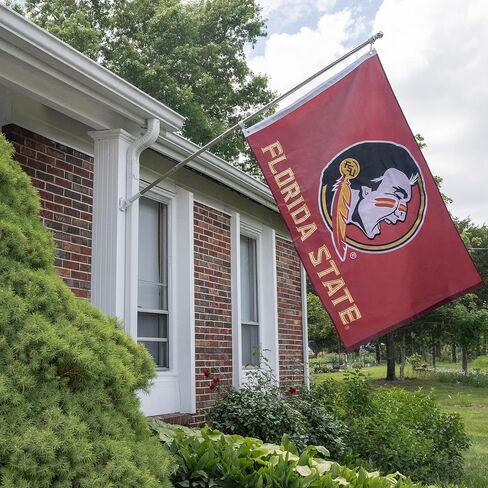 Desert Cactus Florida State University Flag - 3x5 Ft Embroidered Banner for Indoor/Outdoor Use, FSU Seminoles Design, for Events and Home Décor (Embroidered Design B) in Kuwait