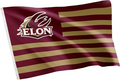 Desert Cactus Elon University Indoor and Outdoor 100% Polyester University Flag Banner, 3x5 Feet Phoenix (Nation) in Kuwait