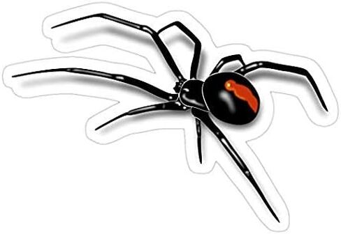ملصق لاصق من Redback Spider Black Widow - ملصق عنكبوت أسود للسيارات والشاحنات والجدار وأجهزة الكمبيوتر المحمول والهواتف المحمولة in Kuwait
