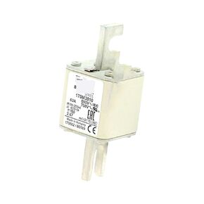 170M4805 170M4806 170M4807 الصمامات السريعة ذات الجهد المنخفض (170M4807) in Kuwait