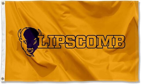 College Flags & Banners Co. Lipscomb Bison Wordmark 3x5 Grommet Flag in Kuwait