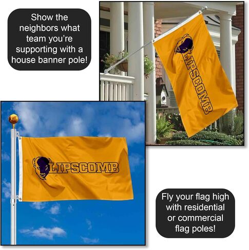 College Flags & Banners Co. Lipscomb Bison Wordmark 3x5 Grommet Flag in Kuwait