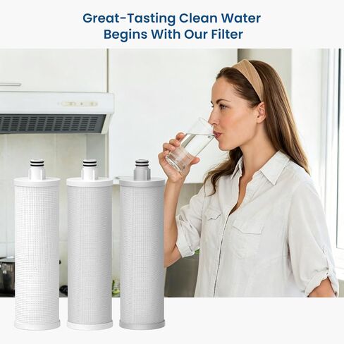 M3005 Water Replacement Filter Cartridge Set (4 Pack) Compatible with Frizzlife SK99,SP99,SK99 NEW and SP99 NEW Water Filter System in Saudi Arabia