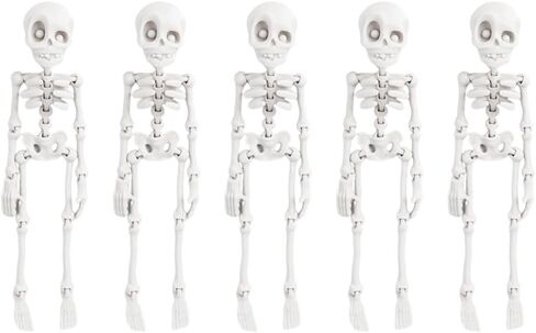 5PCS 3D Skeleton Figure, Novelty Refrigerator Magnet Set for Home & Office Decoration in Kuwait