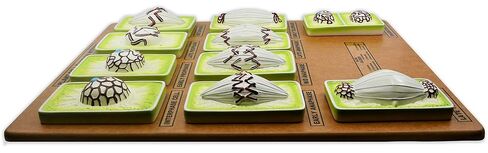 EISCO Plant Mitosis Model, 18 Inch - Three-Dimensional - Hand Painted Details - Simplified - Mounted in Kuwait