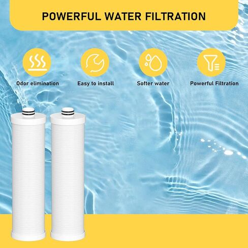 FZ-2 Water Replacement Filter Cartridge Compatible with Frizzlife MP99, MK99, MS99 Water Filter & MV99 RV Filter, Only the CORE FILTER CARTRIDGE 2 Pack in Kuwait