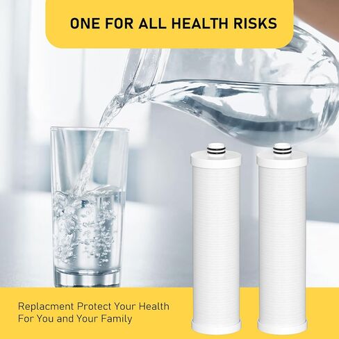 FZ-2 Water Replacement Filter Cartridge Compatible with Frizzlife MP99, MK99, MS99 Water Filter & MV99 RV Filter, Only the CORE FILTER CARTRIDGE 2 Pack in Kuwait