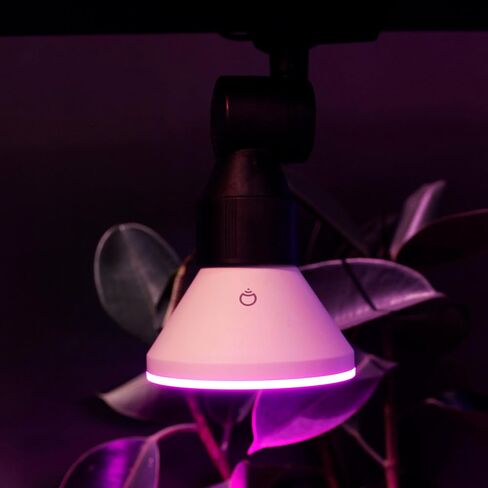 لمبة الإضاءة الذكية LIFX PAR38 E26 (عبوة واحدة)، تغيير لون RGB + أبيض دافئ 1600 لومن 150 وات LED قابل للضبط، 90+ CRI، متوافق مع المادة، Apple HomeKit، Alexa & Google Home Dimmable in Kuwait