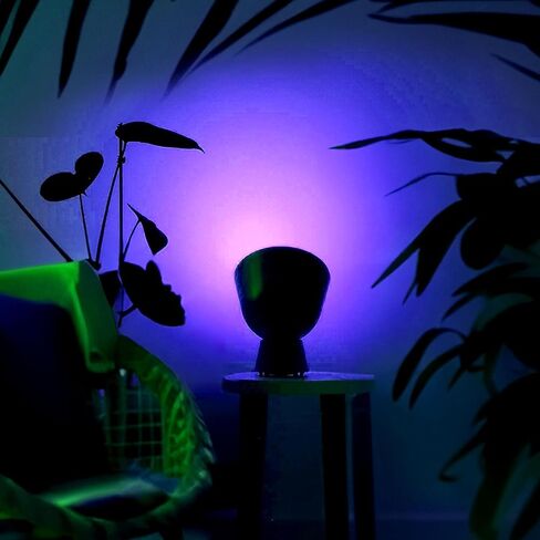 لمبة الإضاءة الذكية LIFX PAR38 E26 (عبوة واحدة)، تغيير لون RGB + أبيض دافئ 1600 لومن 150 وات LED قابل للضبط، 90+ CRI، متوافق مع المادة، Apple HomeKit، Alexa & Google Home Dimmable in Kuwait
