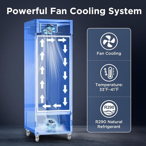 ثلاجة عرض تجارية Coolake 23 قدم مكعب مع باب زجاجي، ثلاجة تاجر بإضاءة LED من الفولاذ المقاوم للصدأ مقاس 27 بوصة، ثلاجة مشروبات تبريد بمروحة مع 4 أرفف لمتجر مقهى ومكتب البقالة in Kuwait