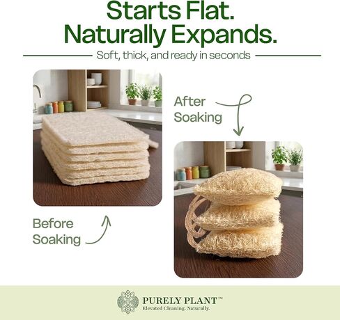 Purely Plant Loofah Dish Sponge 6 Pack–Non Toxic, 100% Plastic Free, Compostable & Biodegradable Premium Kitchen Scrubber, Plant Based, Non-Scratch Scouring Pad for Sink, Tile & Grout Cleaning Luffa in Kuwait