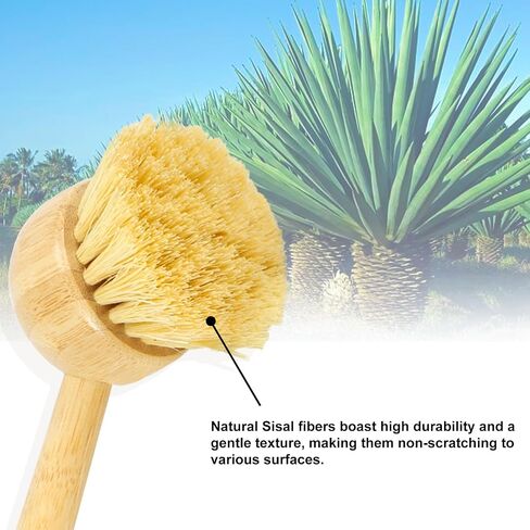 2 Pack Natural Kitchen Dish Brushes with Sisal & Palm Bristles, Long Bamboo Handle Scrubber for Dishes, Cast Iron Pans Pots and Vegetable Cleaning in Kuwait