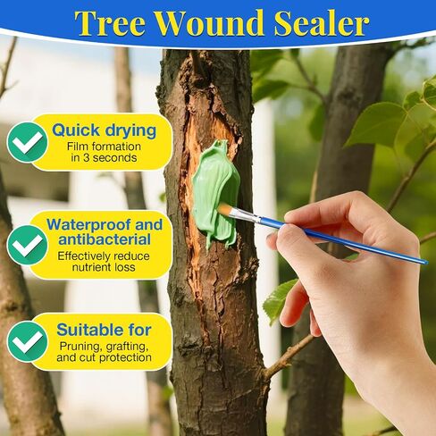 Threlaco Tree Wound Pruning Sealer، 100g Bonsai Wound Sealer Healing Paste، قطع النباتات مع فرشاة، لوازم تطعيم الأشجار، معجون قطع البونساي، التعافي السريع للنباتات in Kuwait
