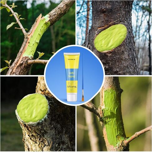 Threlaco Tree Wound Pruning Sealer، 100g Bonsai Wound Sealer Healing Paste، قطع النباتات مع فرشاة، لوازم تطعيم الأشجار، معجون قطع البونساي، التعافي السريع للنباتات in Kuwait