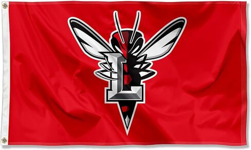 Lynchburg Hornets Logo Large Grommet Banner Flag in Kuwait