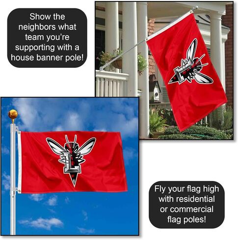 Lynchburg Hornets Logo Large Grommet Banner Flag in Kuwait