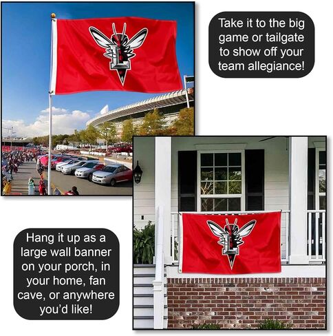 Lynchburg Hornets Logo Large Grommet Banner Flag in Kuwait
