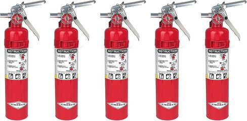 Amerex B417، 2.5 رطل ABC Dry Chemical Class ABC طفاية حريق، مع حامل حائط (5، 5.25 رطل) in Kuwait