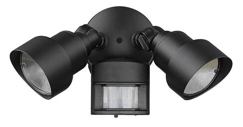 تهليل الإضاءة 24 Lumen Flood Lights 2-Light Matte Black Motion المنشط للأماكن الخارجية المتكاملة LED تركيبات الإضاءة LFL2BKM in Kuwait