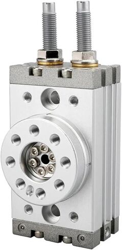 1pcs Pneumatic Rotary Table Cylinder Bolt Adjustment 90 Degrees 180 Degrees MSQB-10/20/30/50/70/100/200A(MSQB-100A) in Kuwait