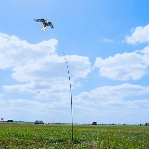 HENGDA Kite Bird Hawk طائرة ورقية طائرة ورقية مع عمود محاصيل المزرعة حامي الطيور المخيف طائرة ورقية طائرة ورقية مع عمود 4 متر أزرق in Kuwait