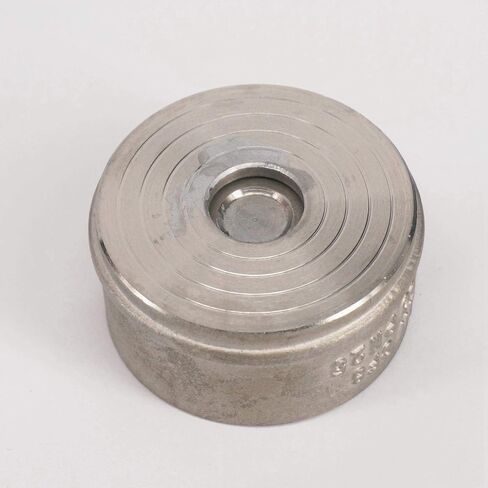 DN20 3/4" 304 Stainless Steel Wafer Check Valve Non-return One Way Valve in Saudi Arabia